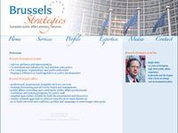 Brussels Strategics